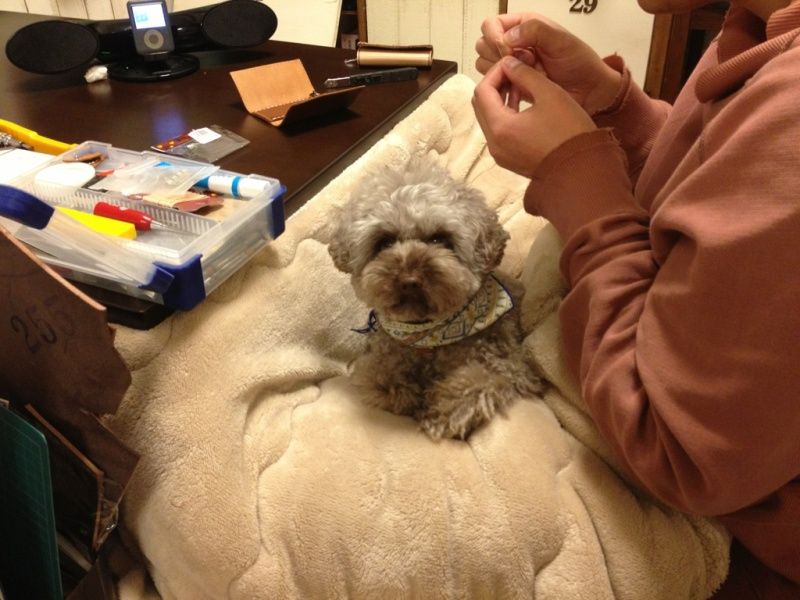 Smile! Happy! Sweet Home!