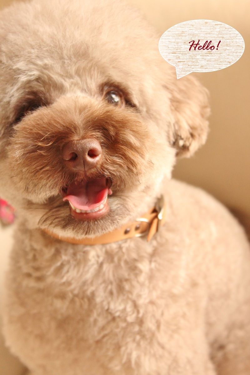 Smile! Happy! Sweet Home!