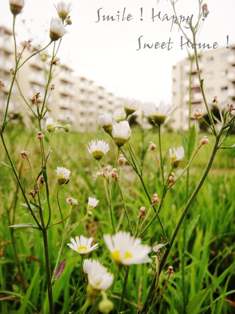 Smile! Happy! Sweet Home!