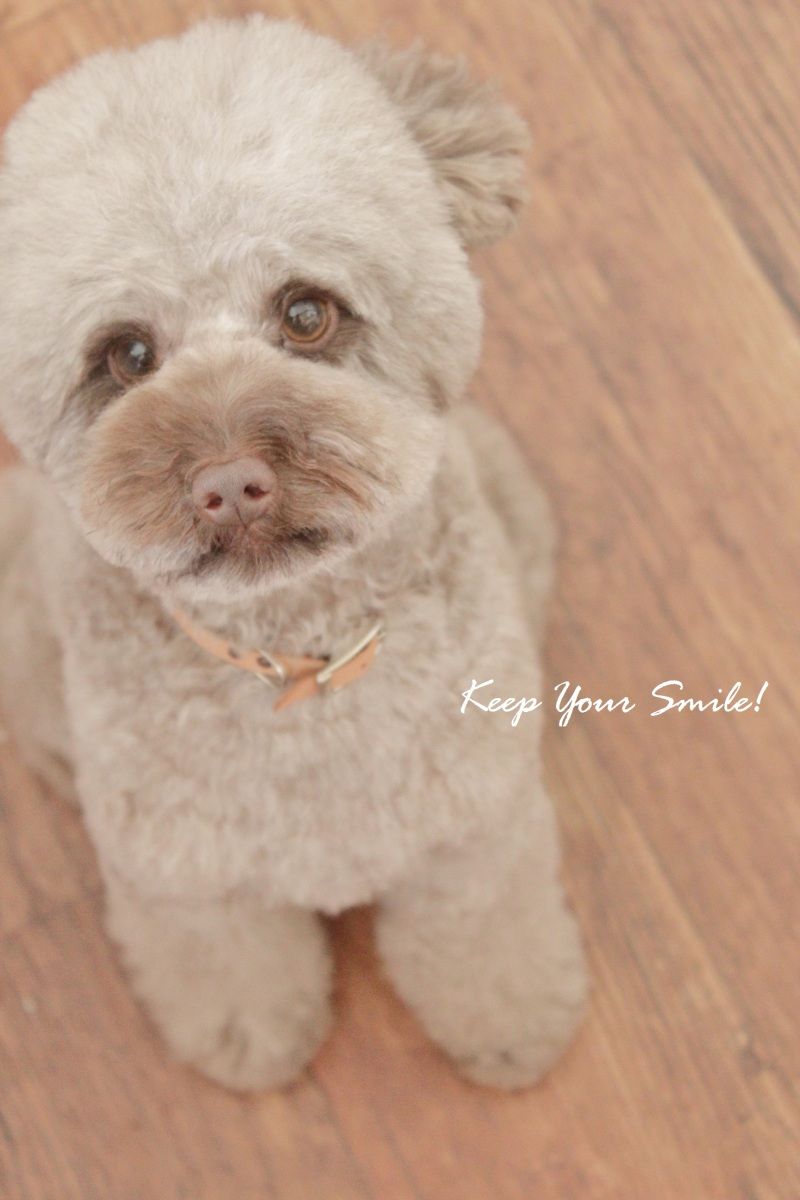 Smile! Happy! Sweet Home!