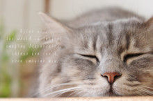 Smile! Happy! Sweet Home!