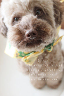 Smile! Happy! Sweet Home!