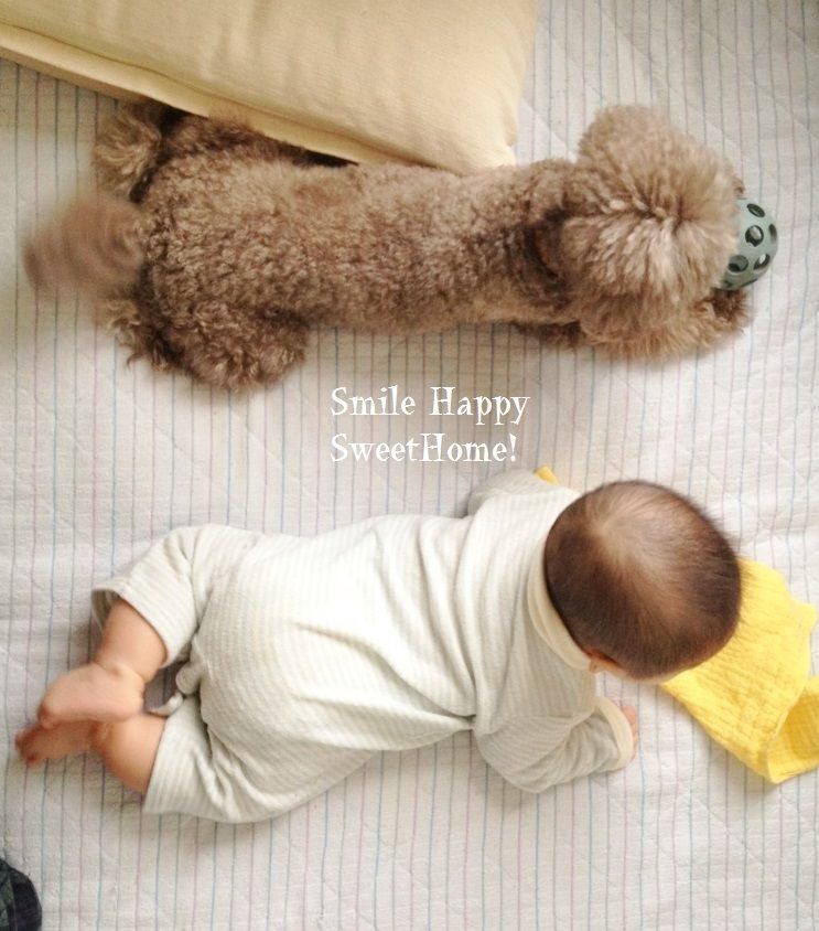 Smile! Happy! Sweet Home!