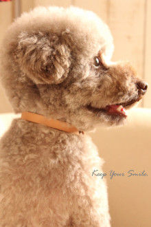 Smile! Happy! Sweet Home!