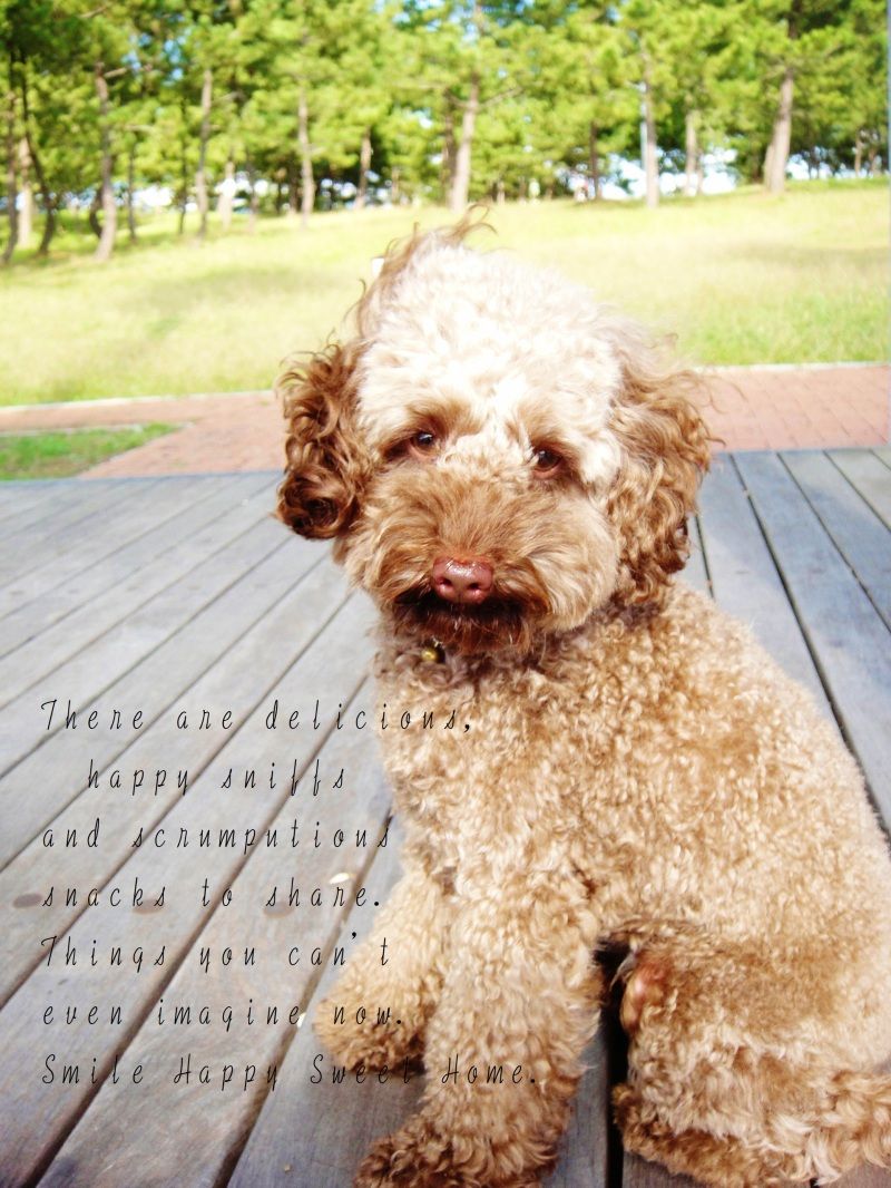 Smile! Happy! Sweet Home!