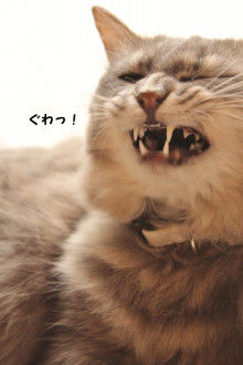 Smile! Happy! Sweet Home!