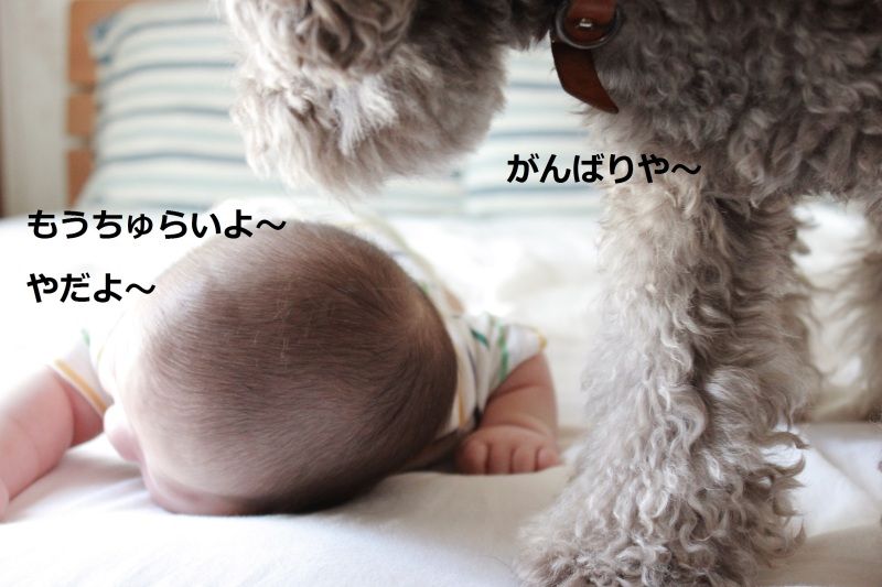 Smile! Happy! Sweet Home!