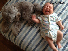Smile! Happy! Sweet Home!