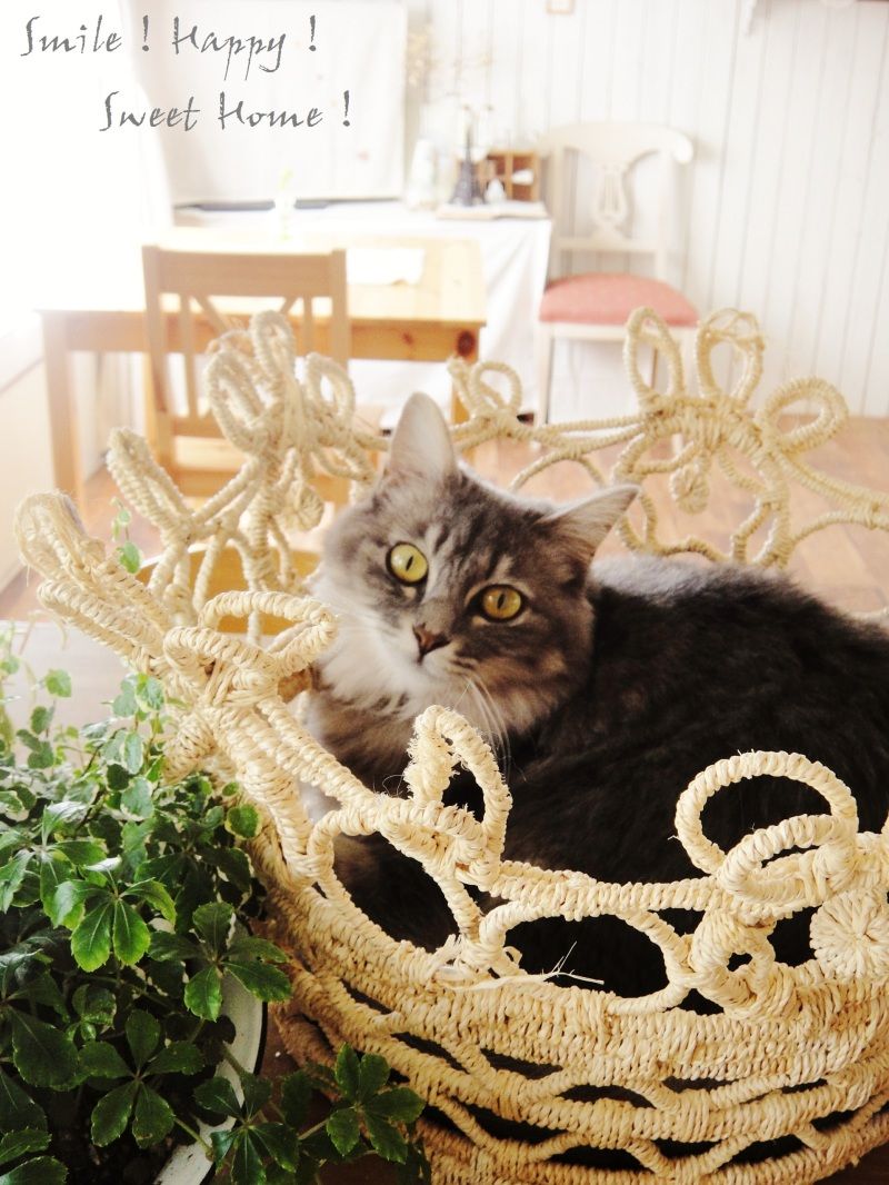 Smile! Happy! Sweet Home!