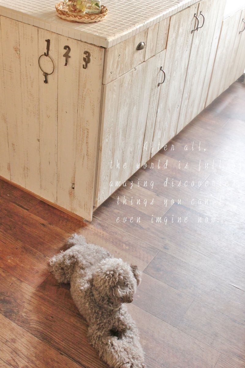 Smile! Happy! Sweet Home!