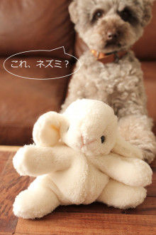 Smile! Happy! Sweet Home!