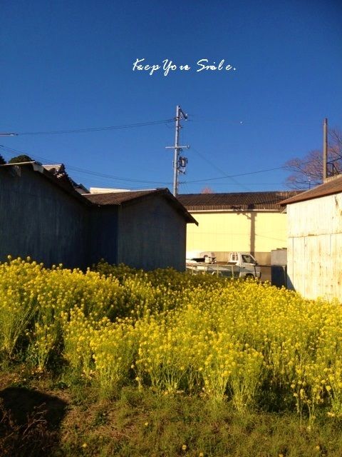 Smile! Happy! Sweet Home!