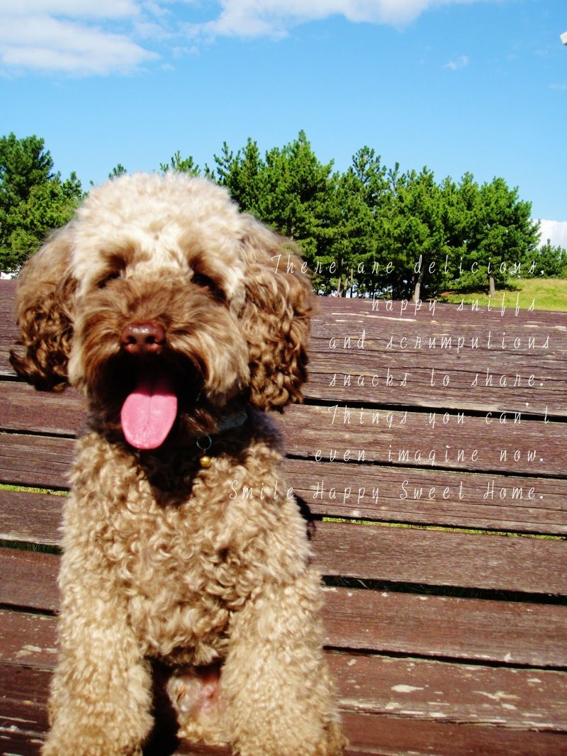 Smile! Happy! Sweet Home!