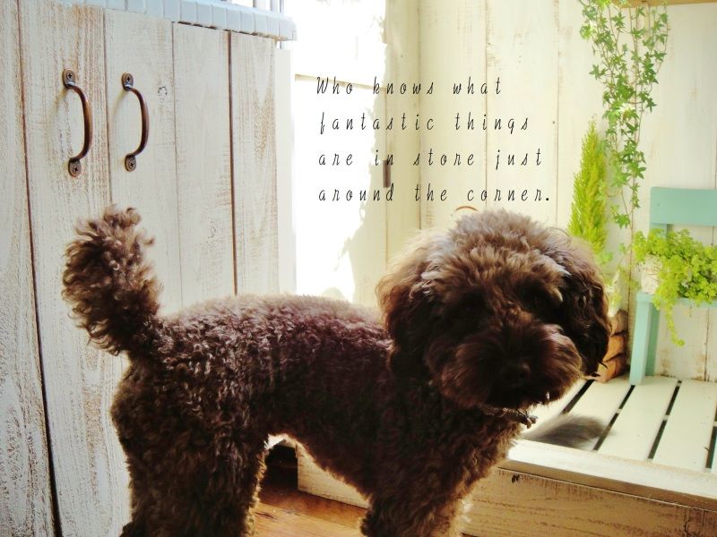 Smile! Happy! Sweet Home!