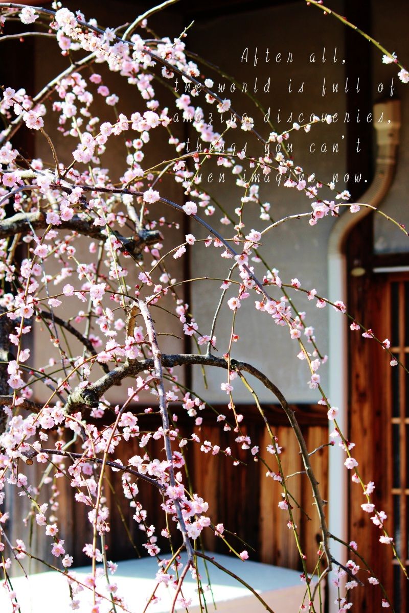 Smile! Happy! Sweet Home!