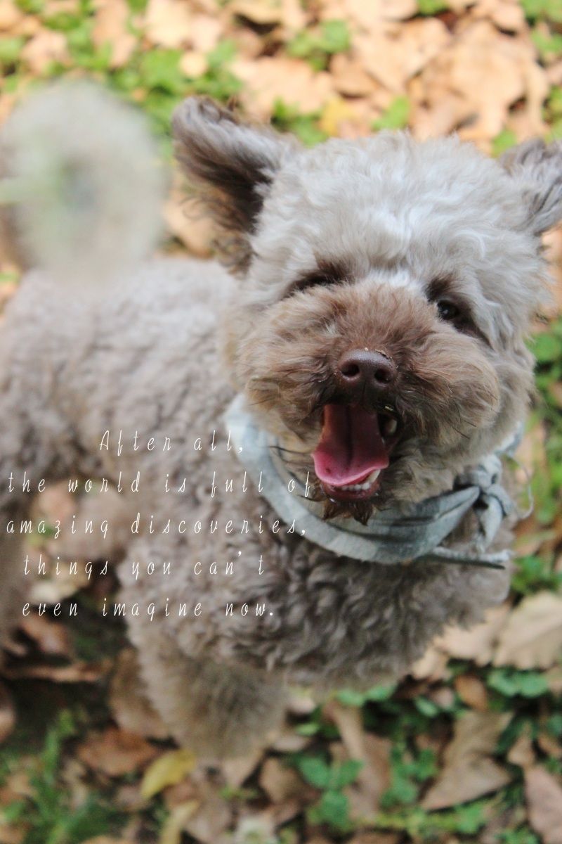 Smile! Happy! Sweet Home!