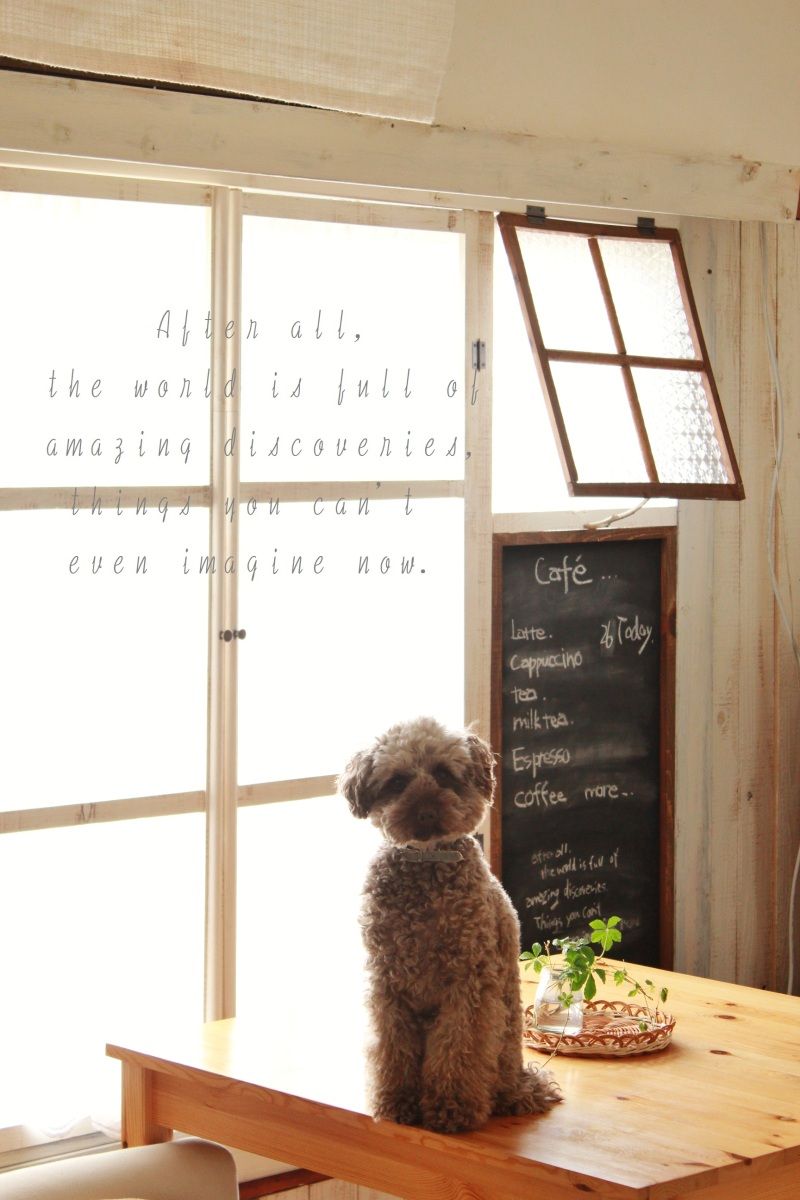 Smile! Happy! Sweet Home!