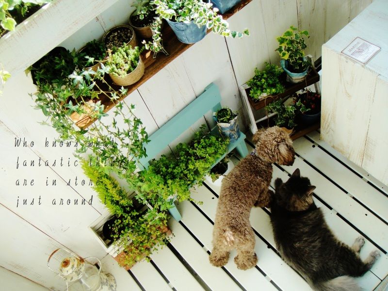 Smile! Happy! Sweet Home!