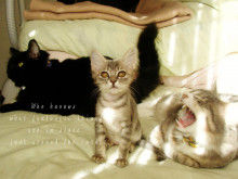 Smile! Happy! Sweet Home!