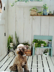 Smile! Happy! Sweet Home!