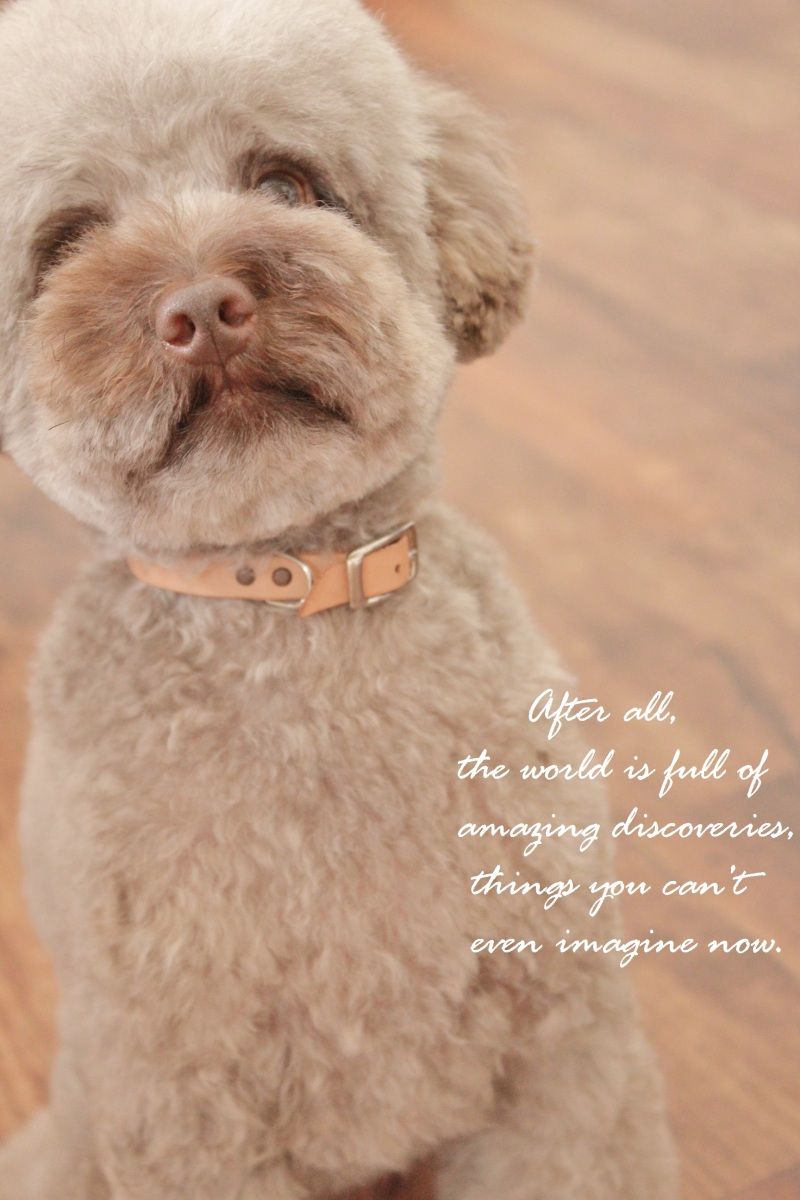 Smile! Happy! Sweet Home!