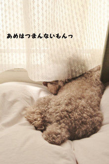 Smile! Happy! Sweet Home!