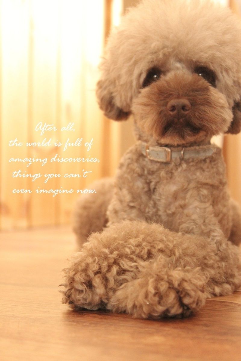 Smile! Happy! Sweet Home!