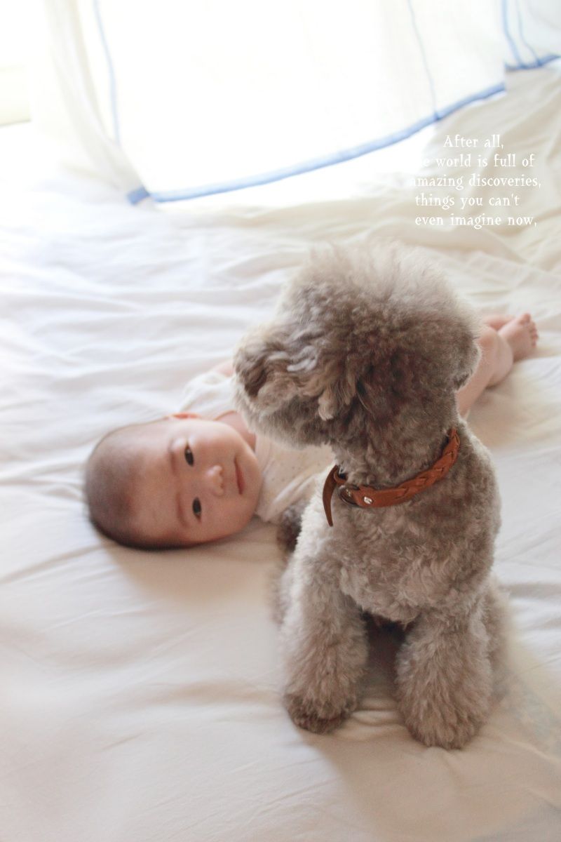 Smile! Happy! Sweet Home!