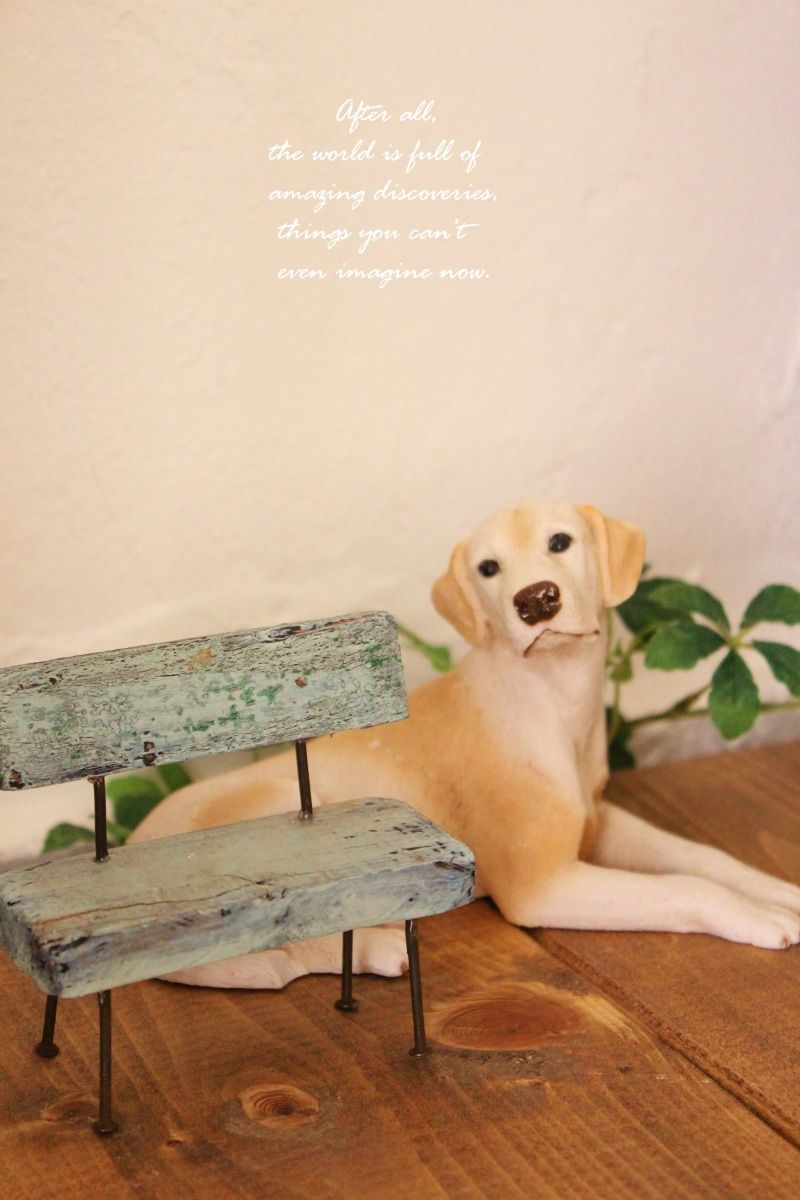 Smile! Happy! Sweet Home!