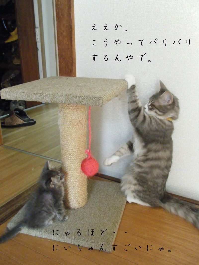 Smile! Happy! Sweet Home!