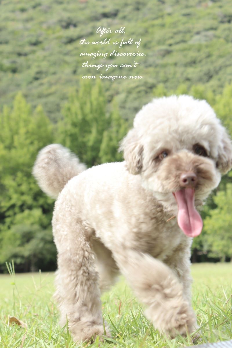 Smile! Happy! Sweet Home!