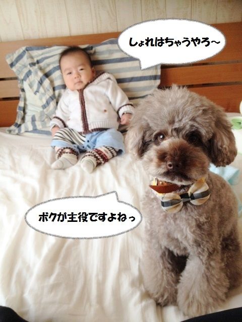 Smile! Happy! Sweet Home!