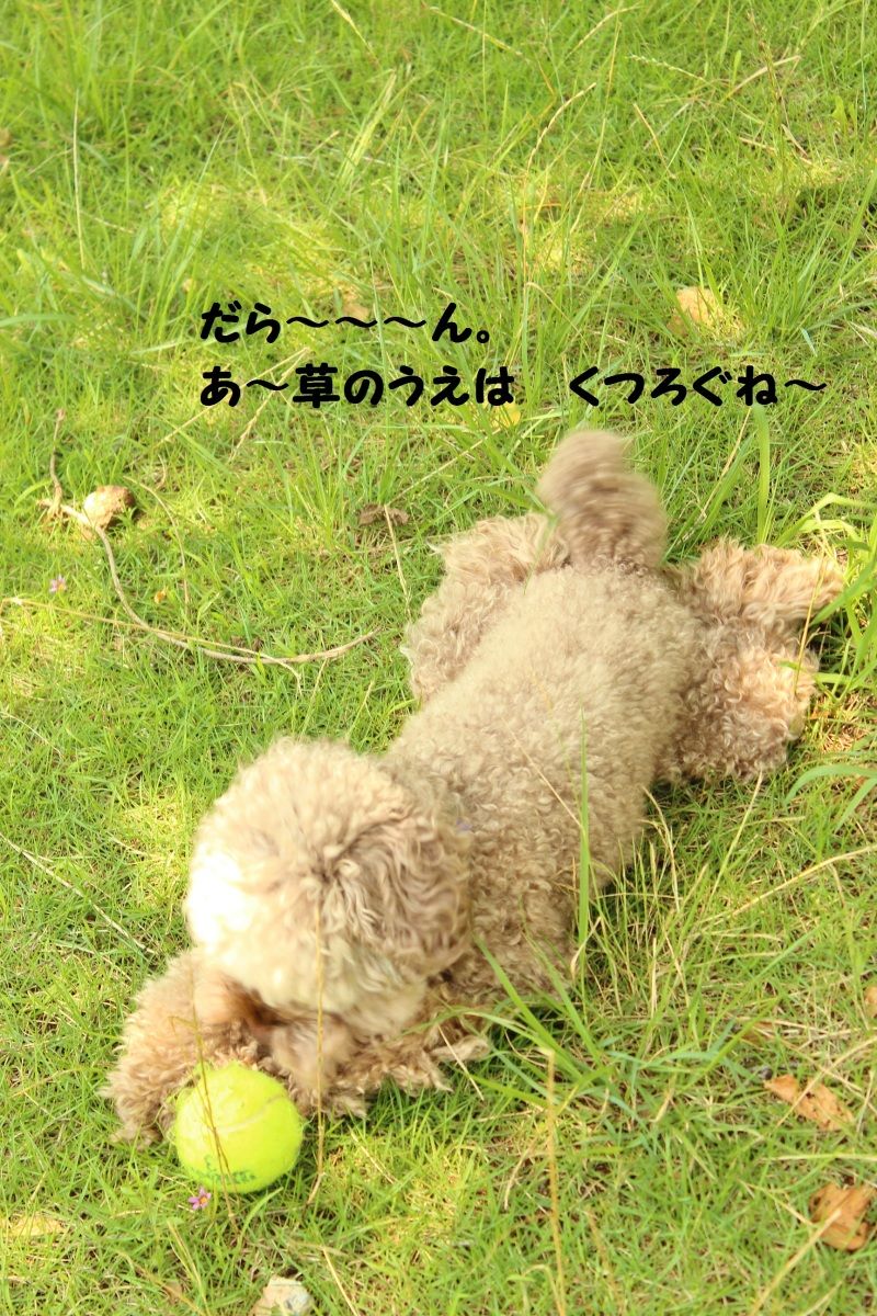 Smile! Happy! Sweet Home!