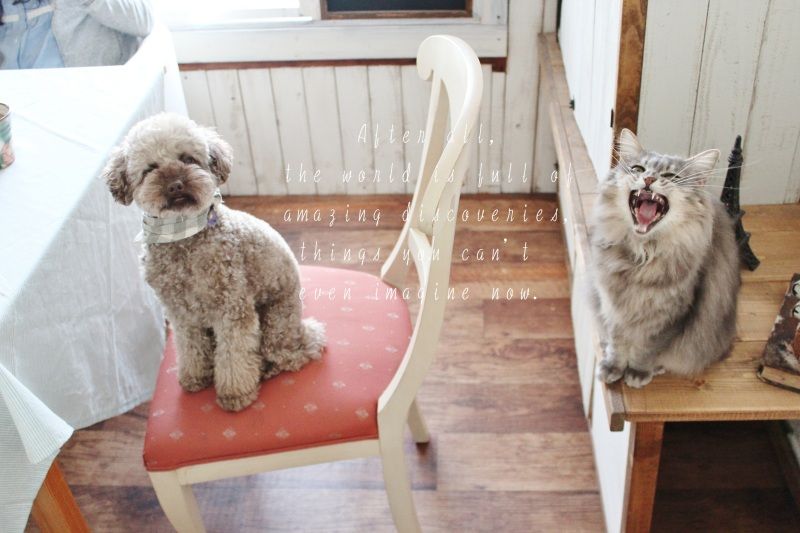 Smile! Happy! Sweet Home!