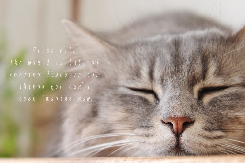 Smile! Happy! Sweet Home!