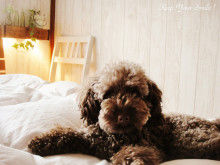 Smile! Happy! Sweet Home!