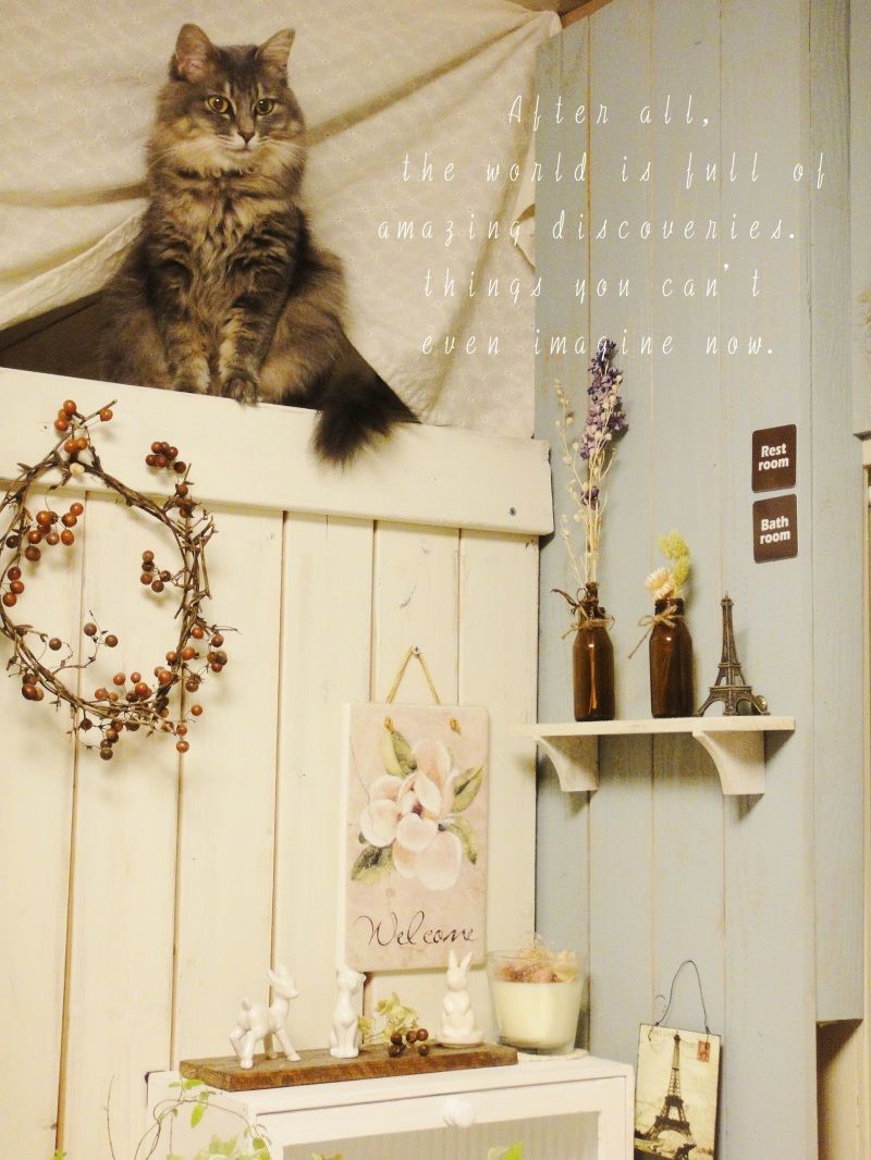 Smile! Happy! Sweet Home!