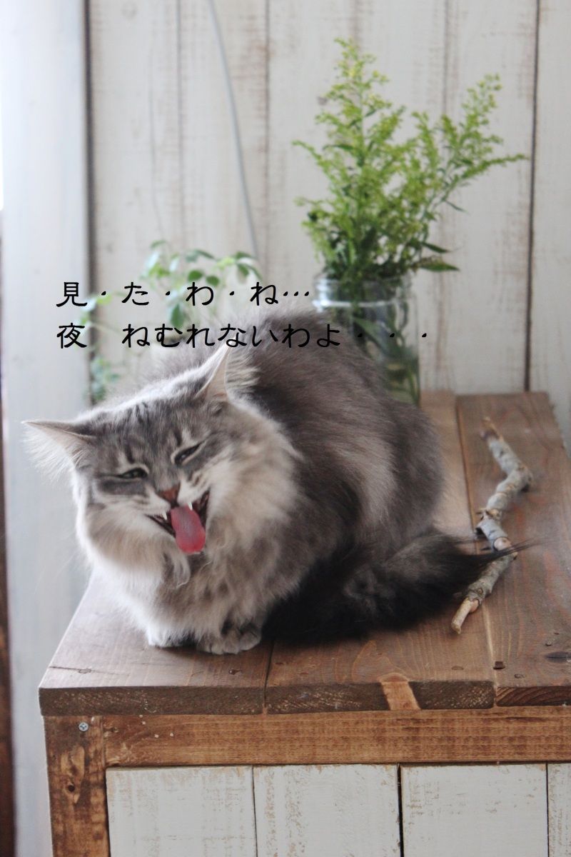 Smile! Happy! Sweet Home!