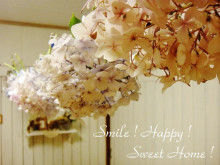 Smile! Happy! Sweet Home!