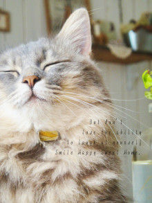Smile! Happy! Sweet Home!