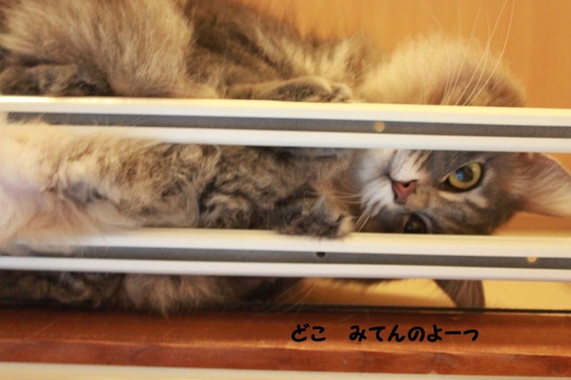 Smile! Happy! Sweet Home!