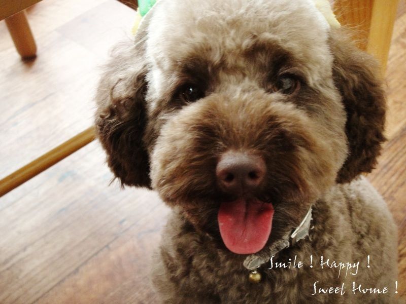 Smile! Happy! Sweet Home!