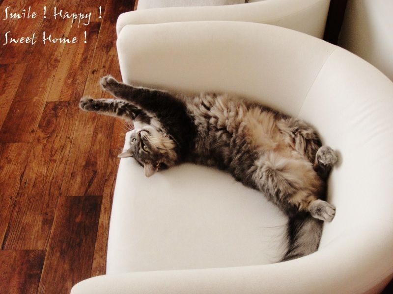 Smile! Happy! Sweet Home!