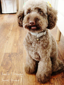Smile! Happy! Sweet Home!