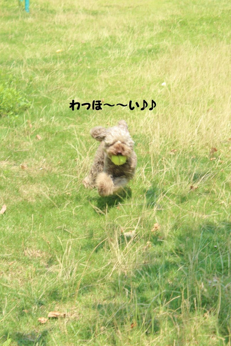 Smile! Happy! Sweet Home!