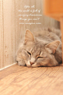 Smile! Happy! Sweet Home!