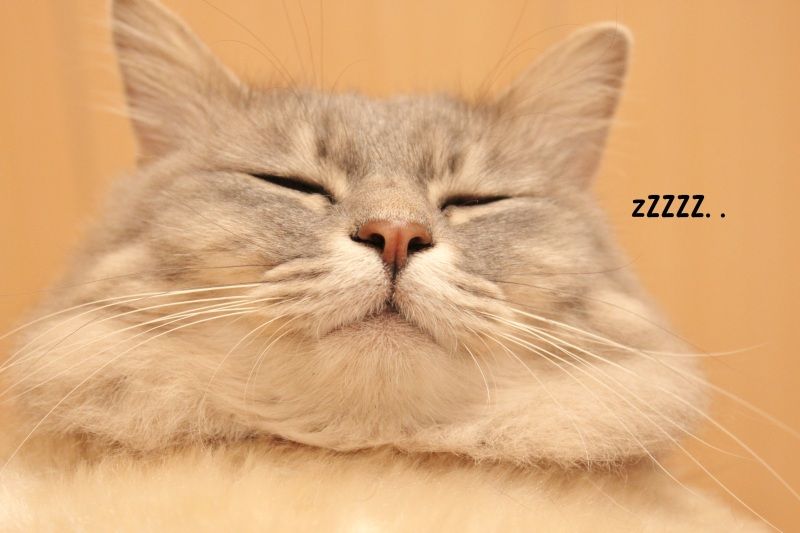 Smile! Happy! Sweet Home!